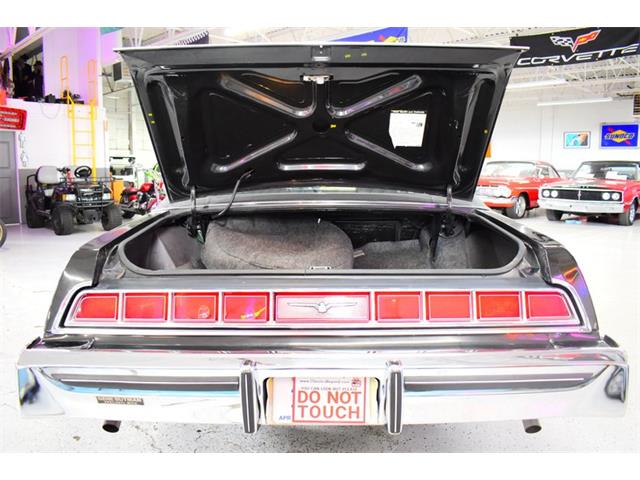 1976 Ford Thunderbird (CC-2085736) for sale in Wayne, Michigan