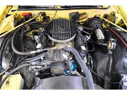 1977 Plymouth Gran Fury (CC-2085738) for sale in Wayne, Michigan