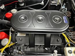 1967 Ferrari 330 GT (CC-2085748) for sale in Huntington Station, New York
