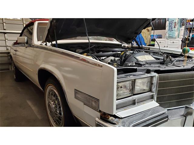 1985 Cadillac Convertible (CC-2080582) for sale in Sebastian, Florida