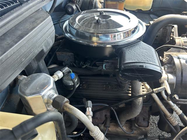 1992 Chevrolet Pickup (CC-2085824) for sale in Clarksville, Georgia