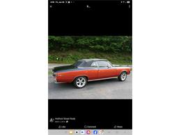 1967 Chevrolet Chevelle Malibu (CC-2085837) for sale in West Palm beach, Florida