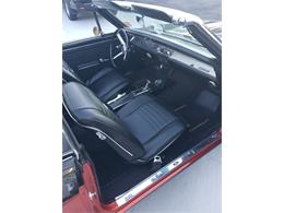 1967 Chevrolet Chevelle Malibu (CC-2085837) for sale in West Palm beach, Florida