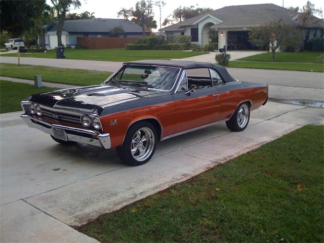 1967 Chevrolet Chevelle Malibu (CC-2085837) for sale in West Palm beach, Florida