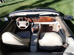 1998 Jaguar XK8 (CC-2085876) for sale in Deep River, Connecticut