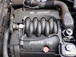 1998 Jaguar XK8 (CC-2085876) for sale in Deep River, Connecticut