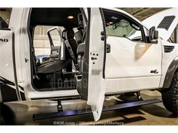 2013 Ford F150 (CC-2085917) for sale in Grand Rapids, Michigan