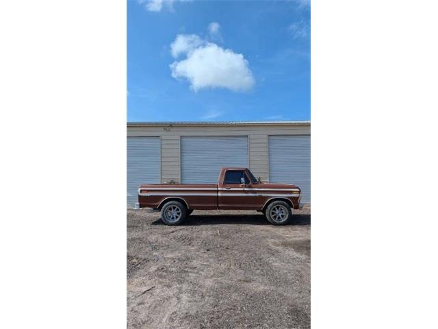 1978 Ford F250 (CC-2085926) for sale in Cadillac, Michigan