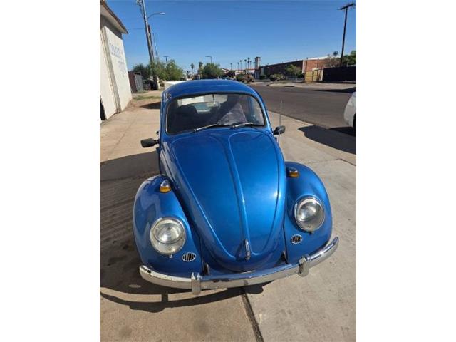 1966 Volkswagen Beetle (CC-2085928) for sale in Cadillac, Michigan