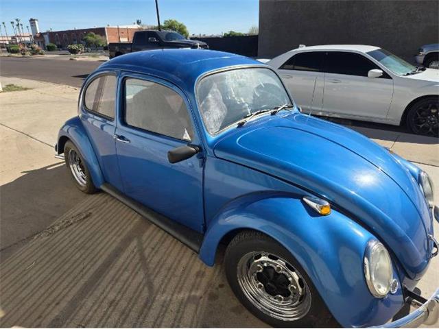 1966 Volkswagen Beetle (CC-2085928) for sale in Cadillac, Michigan