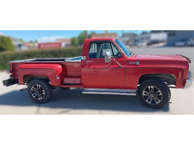 1976 Chevrolet C20 (CC-2085932) for sale in Cadillac, Michigan