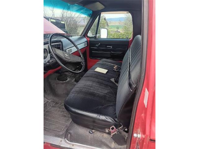 1976 Chevrolet C20 (CC-2085932) for sale in Cadillac, Michigan