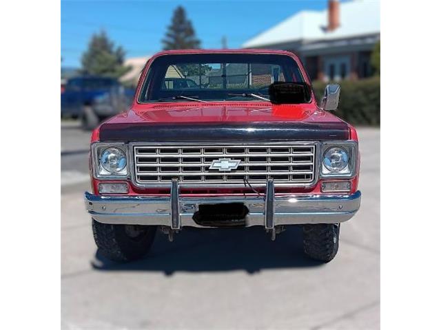 1976 Chevrolet C20 (CC-2085932) for sale in Cadillac, Michigan