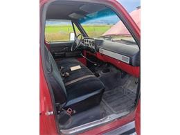 1976 Chevrolet C20 (CC-2085932) for sale in Cadillac, Michigan