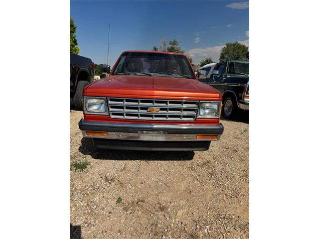1982 Chevrolet S10 (CC-2085939) for sale in Cadillac, Michigan