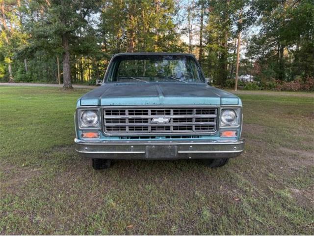 1978 Chevrolet C10 (CC-2085943) for sale in Cadillac, Michigan