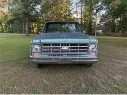 1978 Chevrolet C10 (CC-2085943) for sale in Cadillac, Michigan