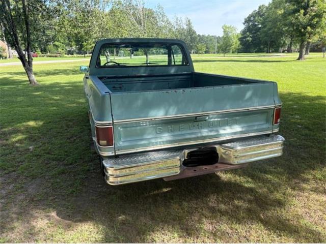 1978 Chevrolet C10 (CC-2085943) for sale in Cadillac, Michigan