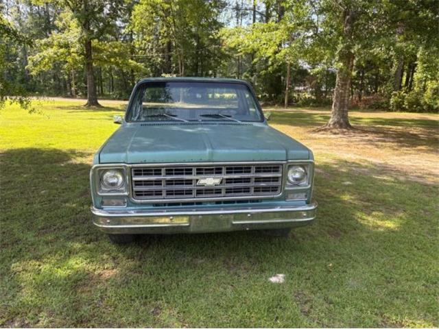1978 Chevrolet C10 (CC-2085943) for sale in Cadillac, Michigan