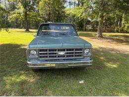 1978 Chevrolet C10 (CC-2085943) for sale in Cadillac, Michigan