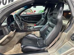1999 Chevrolet Corvette (CC-2085976) for sale in Dallas, Texas