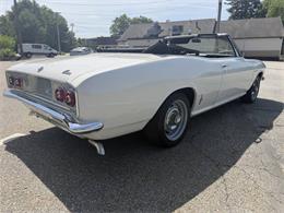 1966 Chevrolet Corvair (CC-2086037) for sale in Westford, Massachusetts