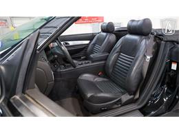 2002 Ford Thunderbird (CC-2080607) for sale in New Braundfels, Texas