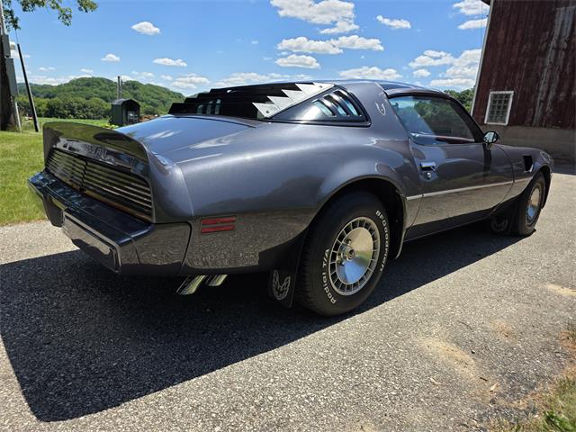 1980 Pontiac Firebird Trans Am (CC-2086070) for sale in Waconia, Minnesota