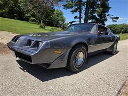 1980 Pontiac Firebird Trans Am (CC-2086070) for sale in Waconia, Minnesota
