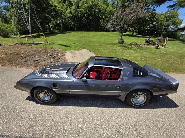 1980 Pontiac Firebird Trans Am (CC-2086070) for sale in Waconia, Minnesota