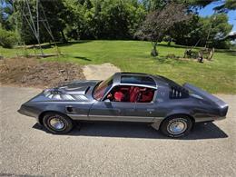 1980 Pontiac Firebird Trans Am (CC-2086070) for sale in Waconia, Minnesota