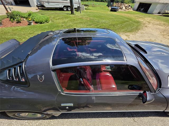 1980 Pontiac Firebird Trans Am (CC-2086070) for sale in Waconia, Minnesota