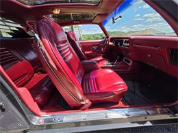 1980 Pontiac Firebird Trans Am (CC-2086070) for sale in Waconia, Minnesota