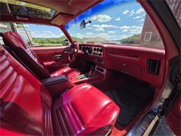 1980 Pontiac Firebird Trans Am (CC-2086070) for sale in Waconia, Minnesota