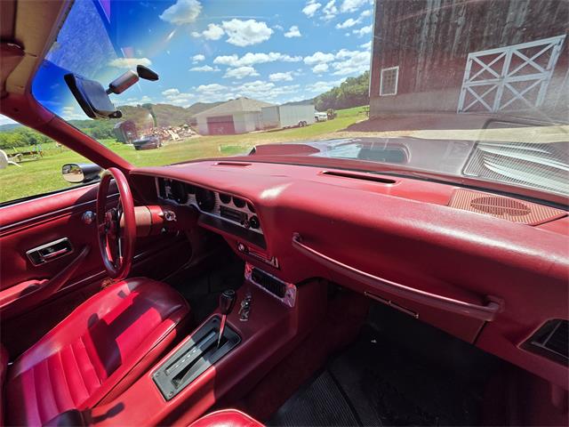 1980 Pontiac Firebird Trans Am (CC-2086070) for sale in Waconia, Minnesota