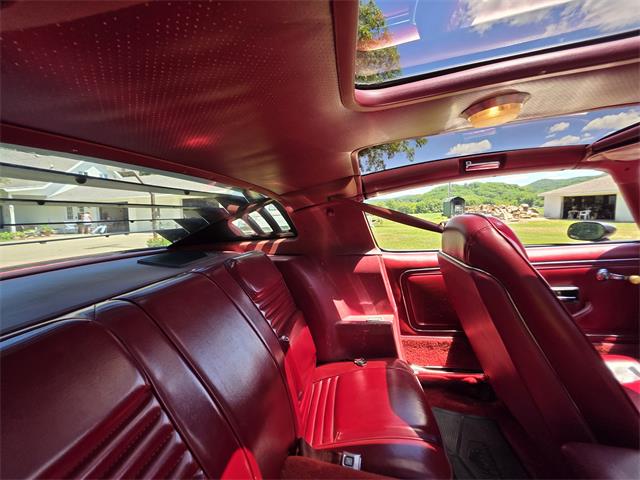 1980 Pontiac Firebird Trans Am (CC-2086070) for sale in Waconia, Minnesota