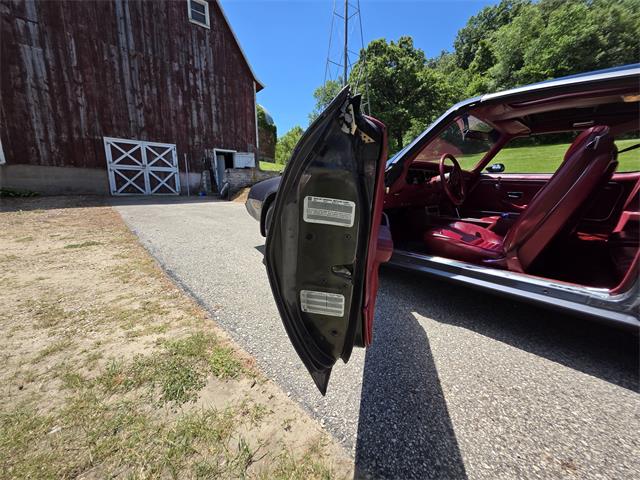 1980 Pontiac Firebird Trans Am (CC-2086070) for sale in Waconia, Minnesota