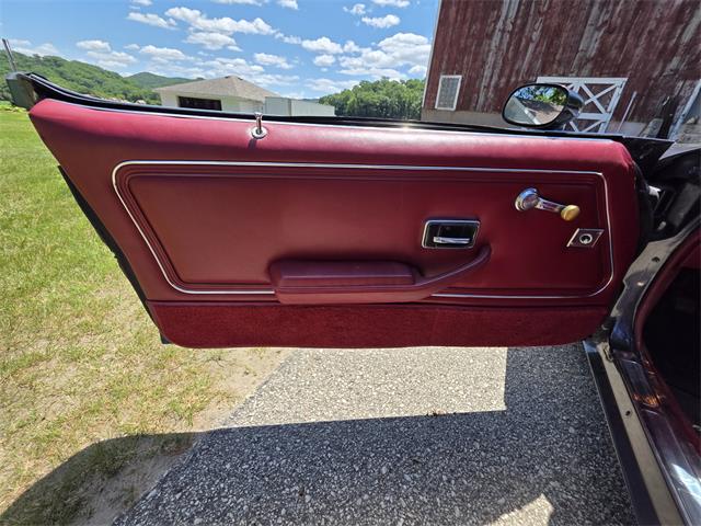 1980 Pontiac Firebird Trans Am (CC-2086070) for sale in Waconia, Minnesota