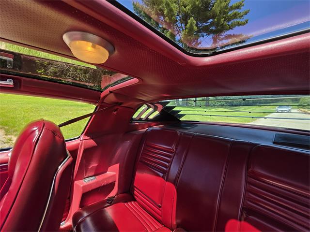 1980 Pontiac Firebird Trans Am (CC-2086070) for sale in Waconia, Minnesota