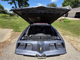 1980 Pontiac Firebird Trans Am (CC-2086070) for sale in Waconia, Minnesota