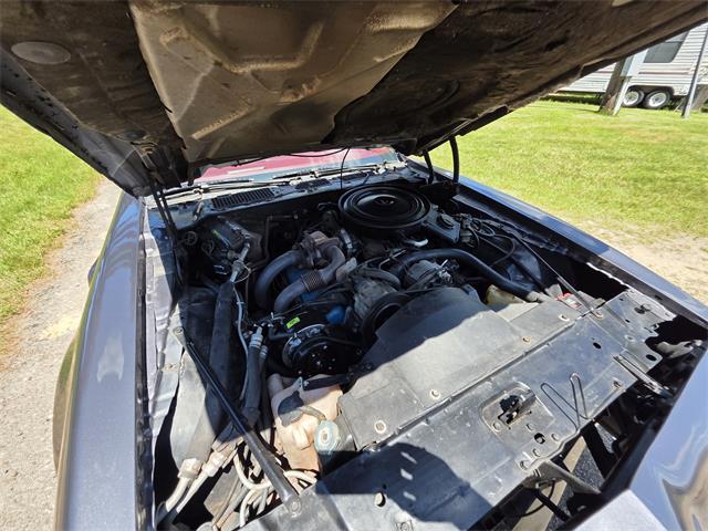 1980 Pontiac Firebird Trans Am (CC-2086070) for sale in Waconia, Minnesota