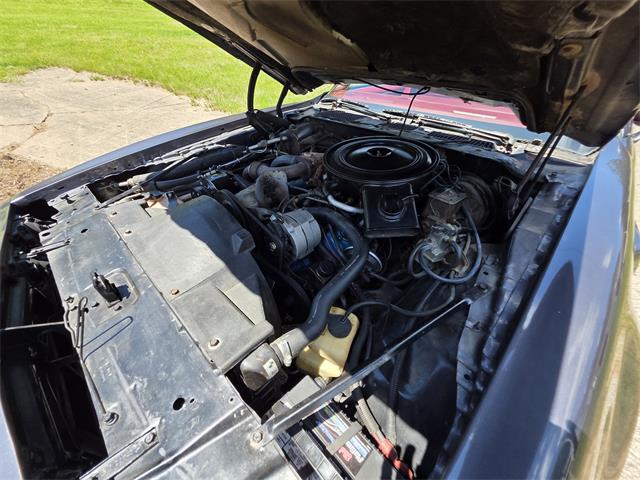 1980 Pontiac Firebird Trans Am (CC-2086070) for sale in Waconia, Minnesota