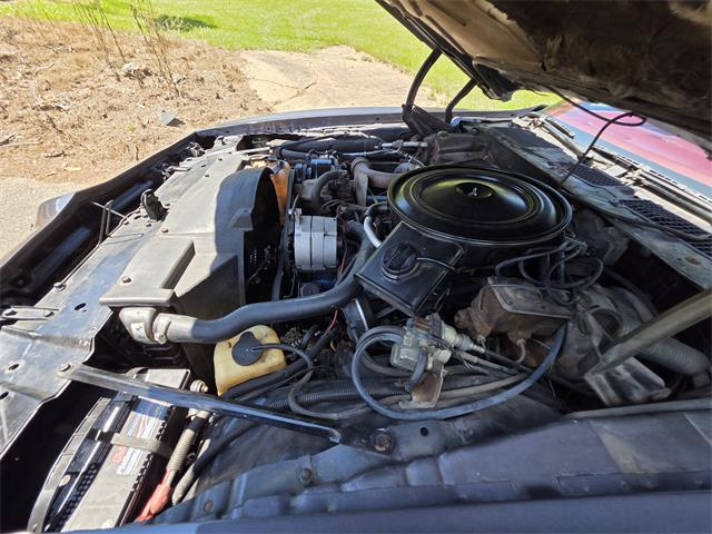 1980 Pontiac Firebird Trans Am (CC-2086070) for sale in Waconia, Minnesota