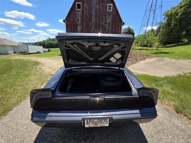 1980 Pontiac Firebird Trans Am (CC-2086070) for sale in Waconia, Minnesota