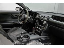 2019 Ford Mustang (CC-2086088) for sale in Ft Worth, Texas