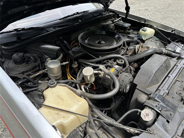 1984 Oldsmobile 442 (CC-2086107) for sale in Hingham, Massachusetts