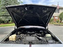 1984 Oldsmobile 442 (CC-2086107) for sale in Hingham, Massachusetts