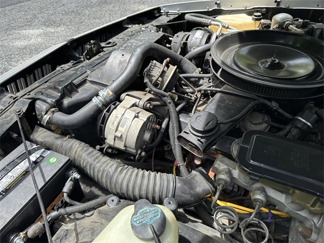 1984 Oldsmobile 442 (CC-2086107) for sale in Hingham, Massachusetts