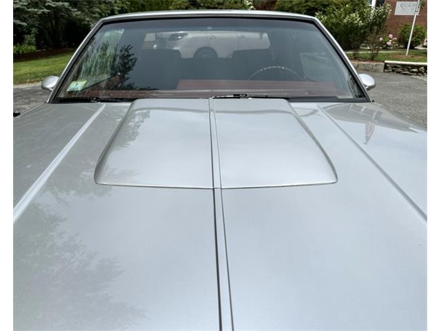 1984 Oldsmobile 442 (CC-2086107) for sale in Hingham, Massachusetts