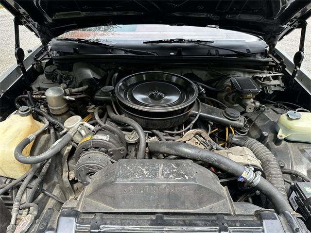 1984 Oldsmobile 442 (CC-2086107) for sale in Hingham, Massachusetts